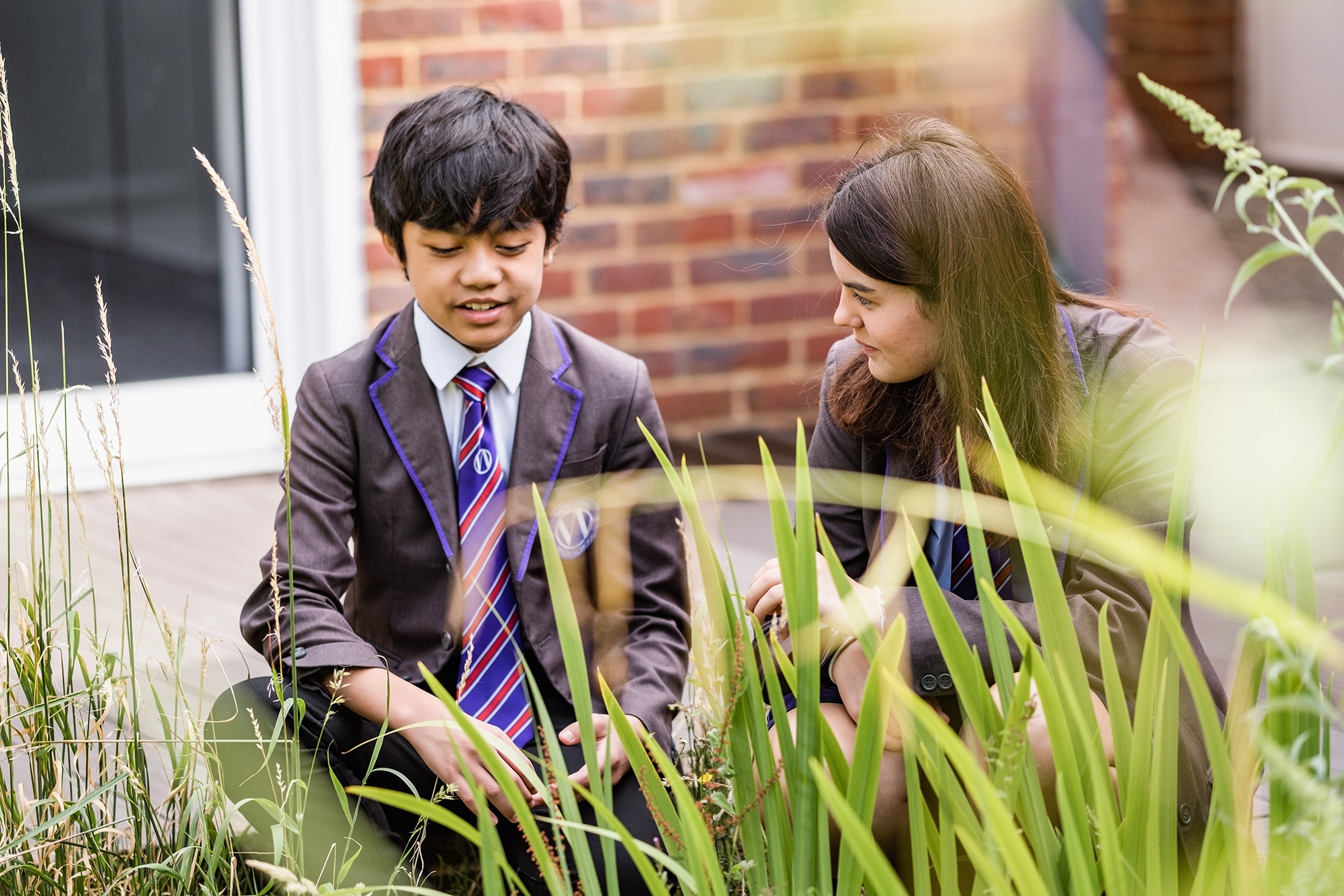 Integrity background